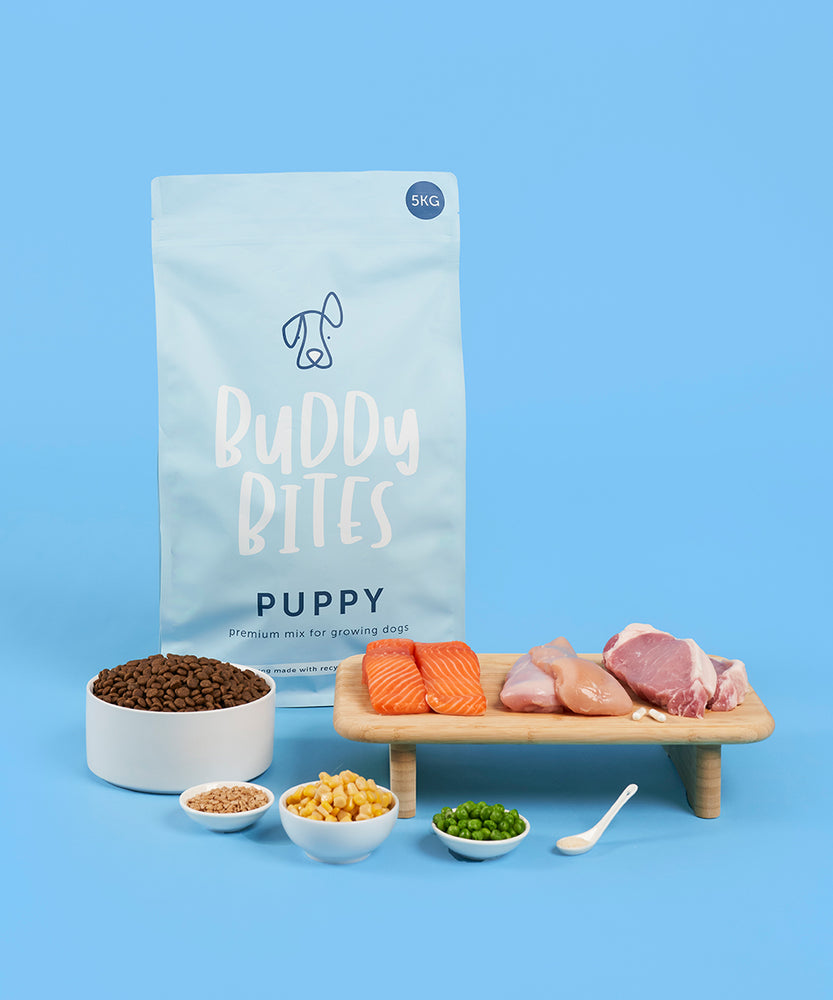 Puppy Dry Food Buddy Bites SG